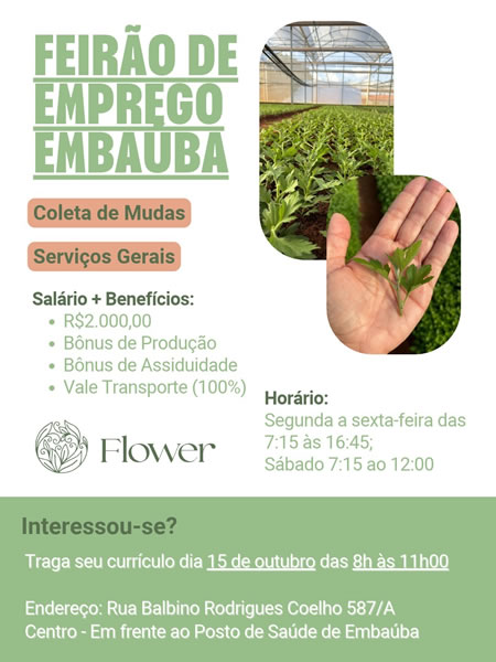 Feirão de Empregos Flower