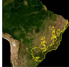 Mapa da ecorregião da Mata Atlântica